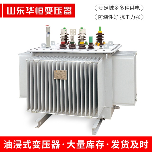 S13-10000/35桑植桑植桑植电力变压器